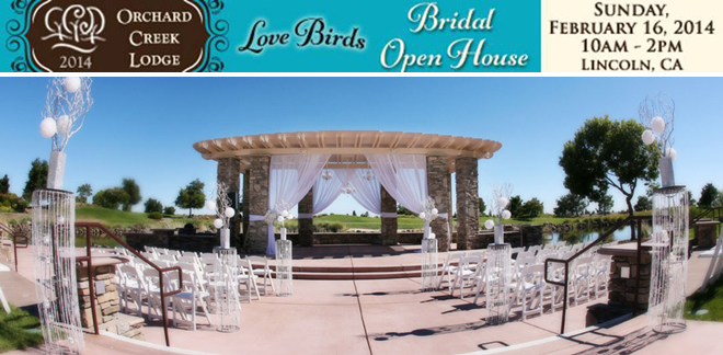 LoveBirdsatOrchardCreekLodge