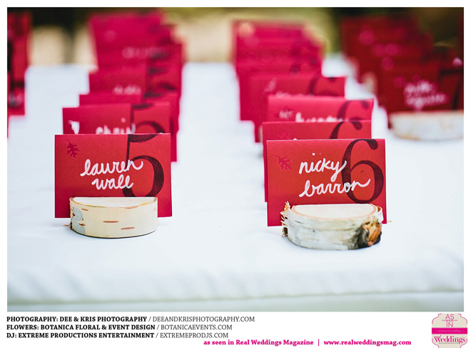 View More: http://deeandkrisphotography.pass.us/samanthaandandrew