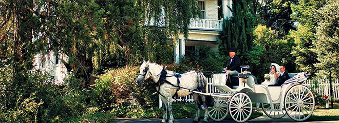 Newcastle Wedding Venue | Sacramento Wedding Venue | Wedding Pro Spotlight | Newcastle Gardens Bed & Breakfast | Barn Wedding | Outdoor Wedding | Best Sacramento Wedding Venue | Best Tahoe Wedding Venue