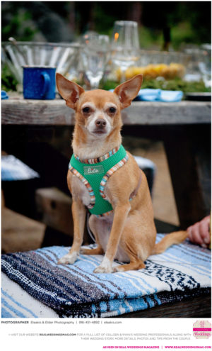 Dorrington Wedding Inspiration: Autumn & Drew {From the WinteSpring