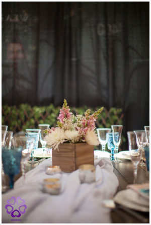 Luxury Wedding Shows Sacramento Bridal Show Northern California Wedding Show
