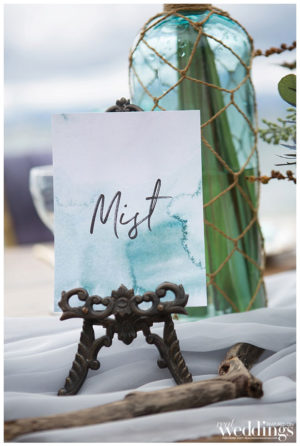 Lake Tahoe Wedding Vendors | Randy Jackson Photography | Hyatt Lake Tahoe Wedding Venue | Placerville Flowers on Main | Frank Vilt's Cakes | The Entertainer Tahoe Rentals | Best Tahoe Wedding | Beach Wedding