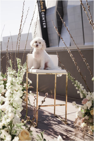 Sacramento Wedding Decor Rentals Design