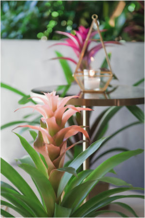 Sacramento Wedding Decor Rentals Design