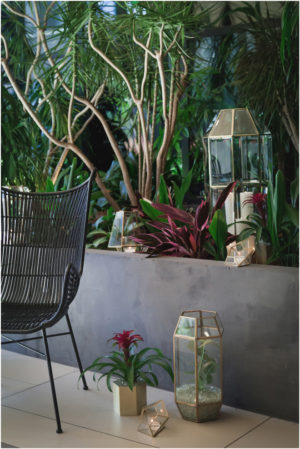 Sacramento Wedding Decor Rentals Design