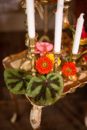 Sacramento Amador County Sutter Creek Wedding Decor Rentals Design