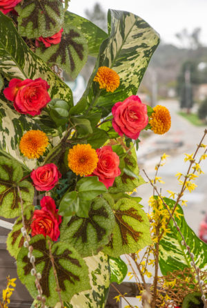 Sacramento Amador County Sutter Creek Wedding Decor Rentals Design