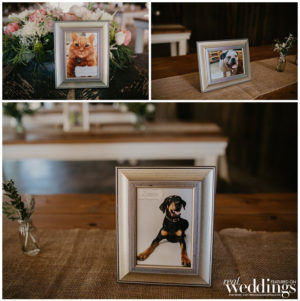 Barn Wedding | Star Wars Wedding | May the Fourth | Sacramento Wedding
