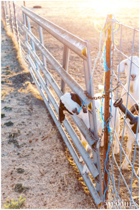 Davis Wedding | Romantic Upscale Country Wedding Inspiration | Ashley Baumgartner Photography