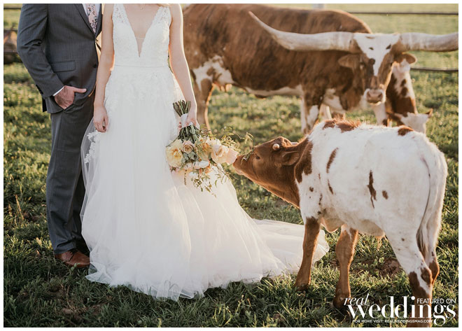 Marysville Wedding | Modern Country Wedding