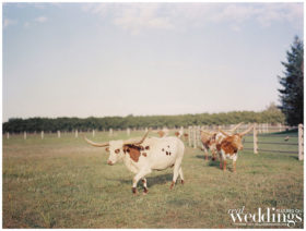 Marysville Wedding | Ranch at Lone Oak Longhorns | Country Wedding | Sarah Maren Photography | Ranch Wedding