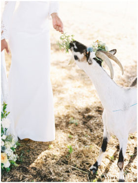Davis Ranch Wedding Inspo | Ashley Baumgartner Photography | Elegant Rustic Wedding