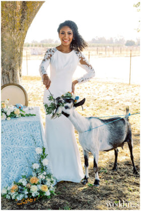 Davis Ranch Wedding Inspo | Ashley Baumgartner Photography | Elegant Rustic Wedding