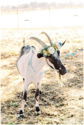 Davis Ranch Wedding Inspo | Ashley Baumgartner Photography | Elegant Rustic Wedding