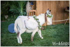 Caron Valley Nevada Wedding | Rachel Lomeli Photography | Antique Jewel Tone Wedding Inspo