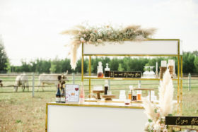 Sacramento Women Supporting Women | Wedding Inspiration | Elegant Rustic Lone Oak Longhorns Styled Shoot