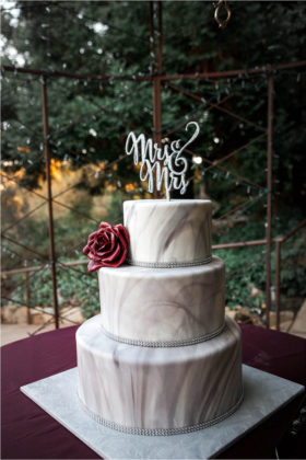Gold Hill Gardens Newcastle Wedding Kacy and Ashley 2G20C Wedding Photography Pride Wedding