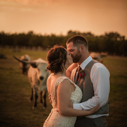 Blue and Burgundy Rustic Modern Ranch Wedding at Lone Oak Longhorns with 5 Star Wedding Films and Photography
