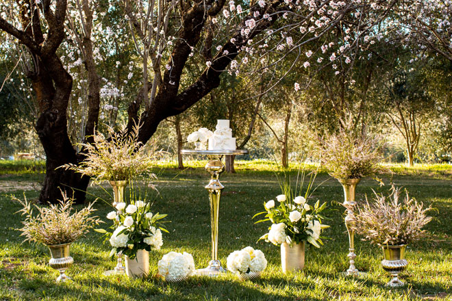 Romantic Sunset Almond Blossom Orchard Wedding Taber Ranch Capture Create Studios