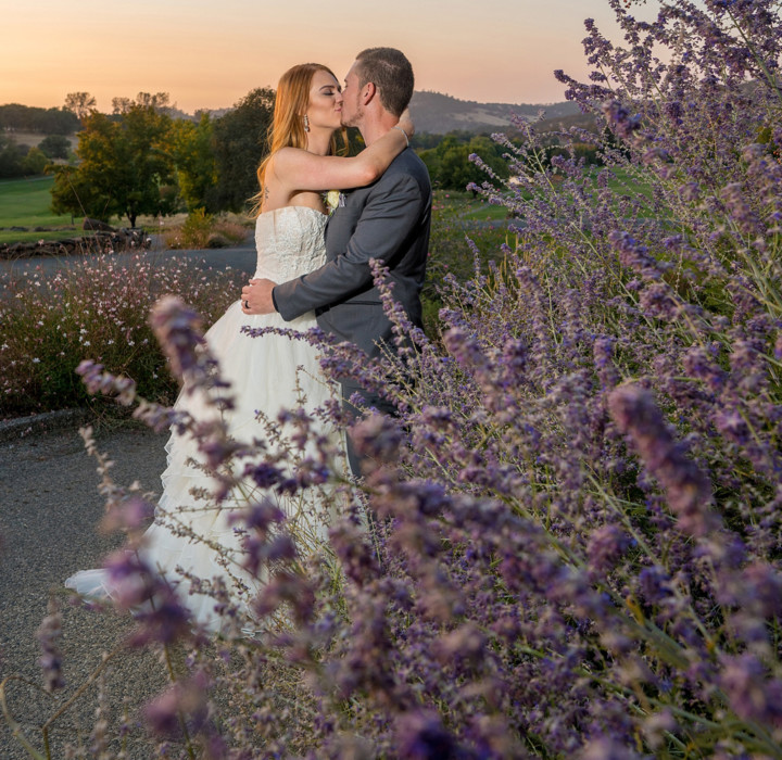 Shelby & Blake in the Lavender-Justin Buettner Sacramento Wedding Photographer