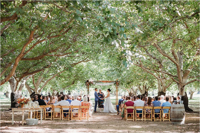 Farm to Fork Wedding at Full Belly Farm by Liz Koston photography Stephanie & Kyle