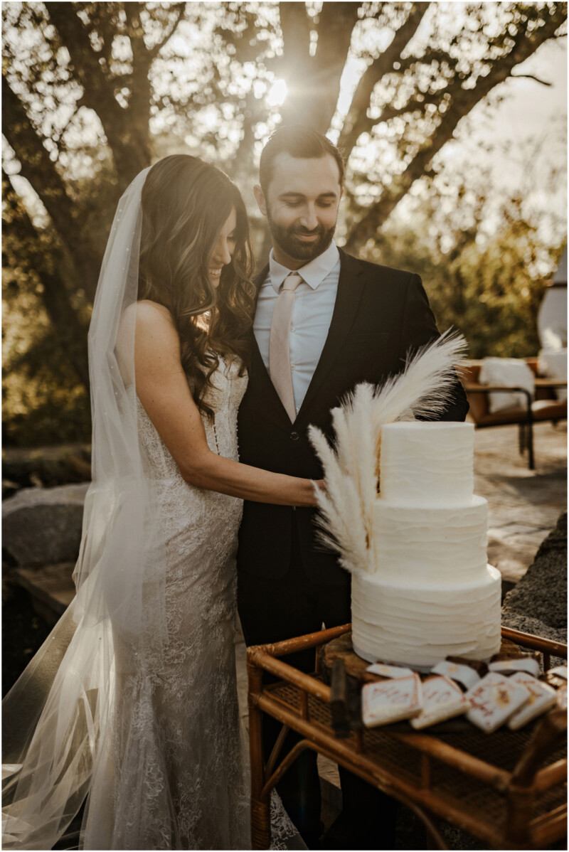 Boho Sacramento Wedding Cake Desserts