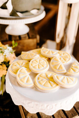 Natacha Jolene Photography and Film Freshly Squeezed Woodland Wedding as seen in Real Weddings Magazine