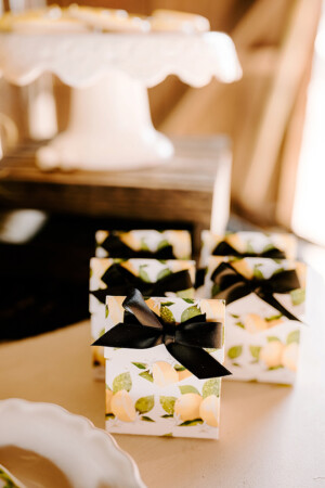 Natacha Jolene Photography and Film Freshly Squeezed Woodland Wedding as seen in Real Weddings Magazine