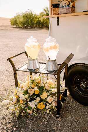 Natacha Jolene Photography and Film Freshly Squeezed Woodland Wedding as seen in Real Weddings Magazine