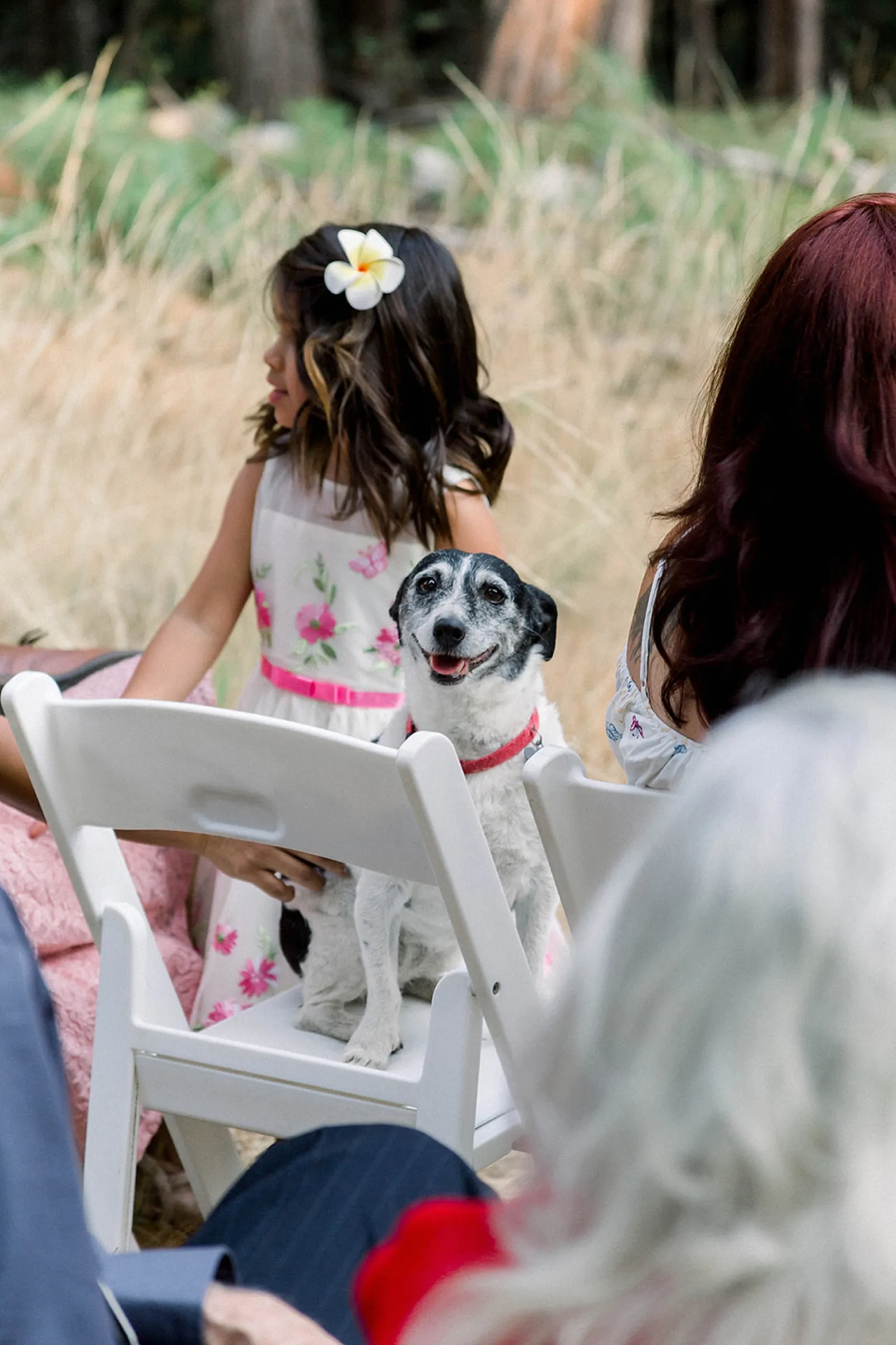 Tiffany Longeway Photography Megan and Cory forest wedding in Arnold California