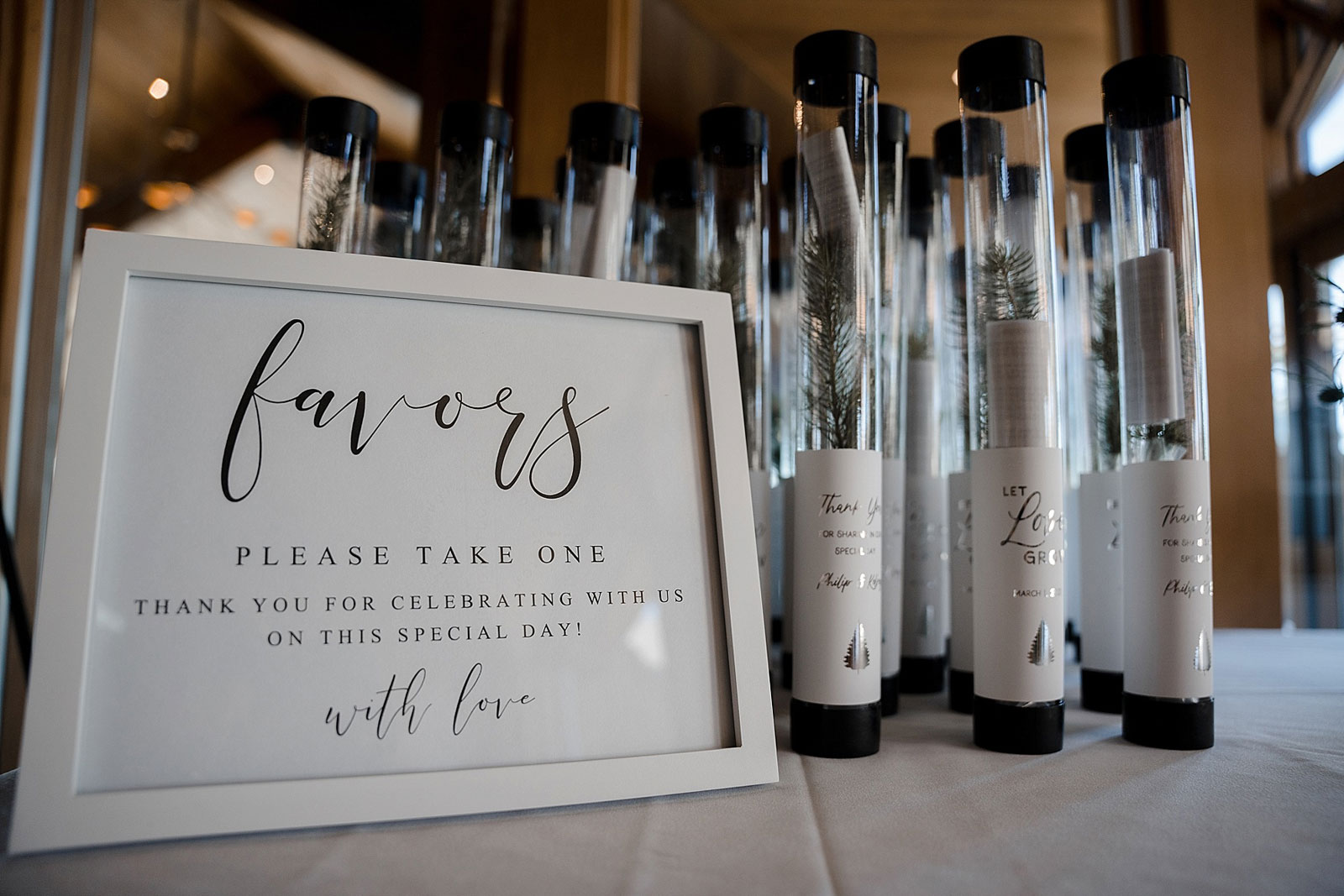 Charp lenz Photography Kelsey & Philip Tahoe Wedding Real Weddings Magazine