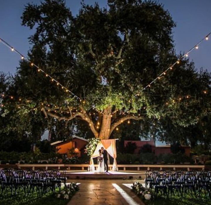 Elk Grove Wedding Venue Bridal Open House