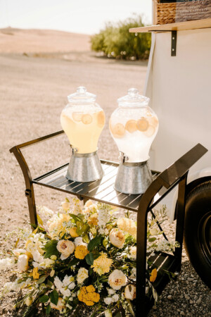 Natacha Jolene Photography and Film Freshly Squeezed Woodland Wedding as seen in Real Weddings Magazine