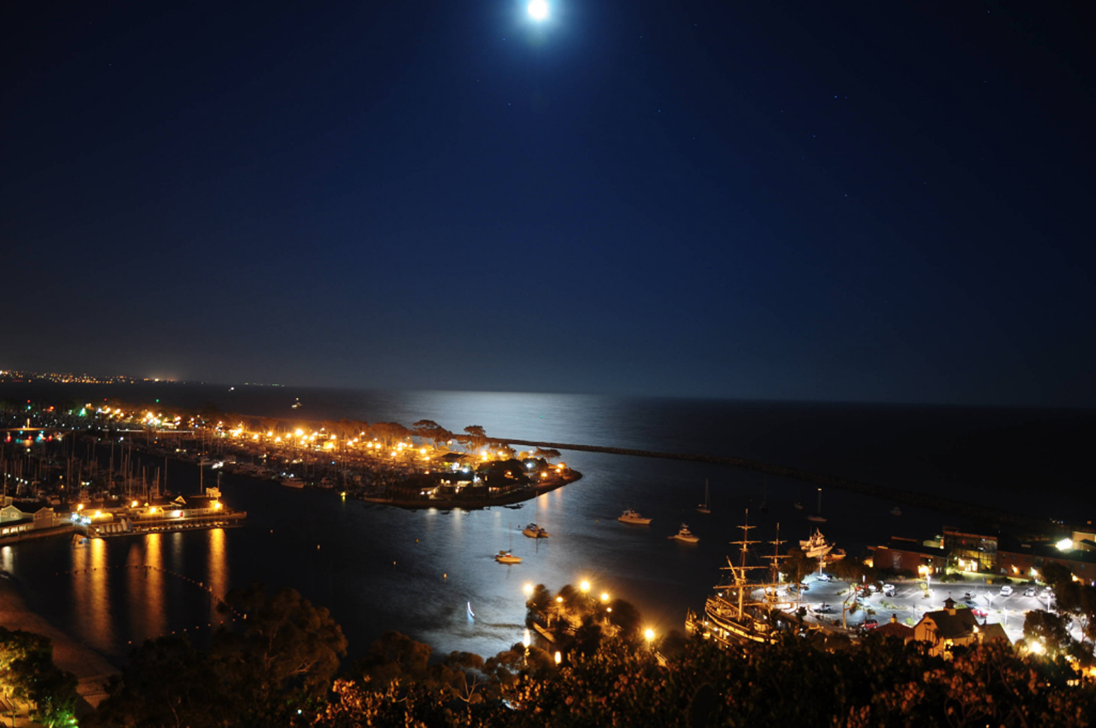 Dana Point Bioluminescence Safari