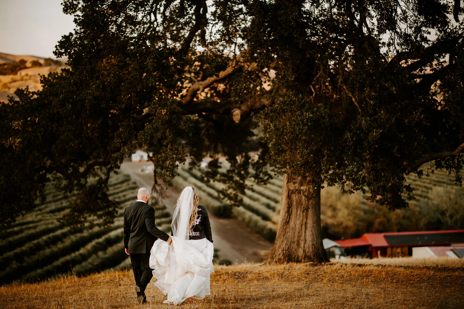 Newlyweds walking down a hill by a vineyard