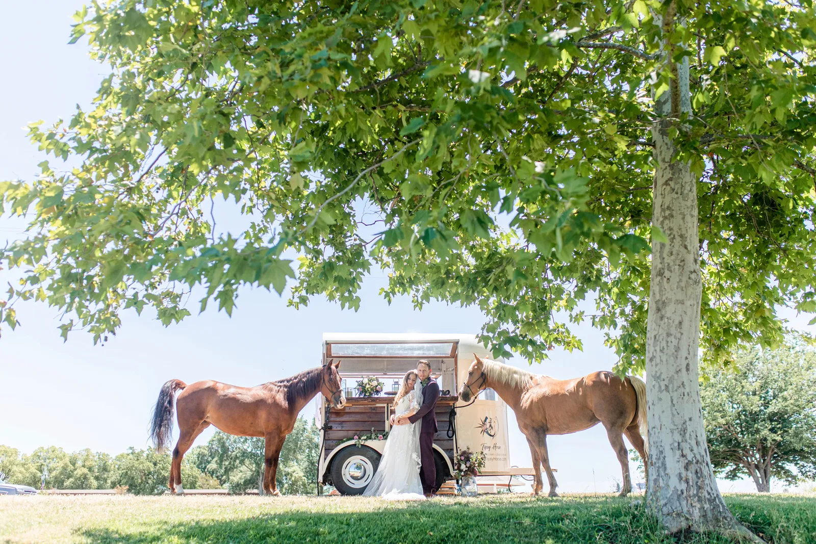 Bride and groom posing with horses outside.