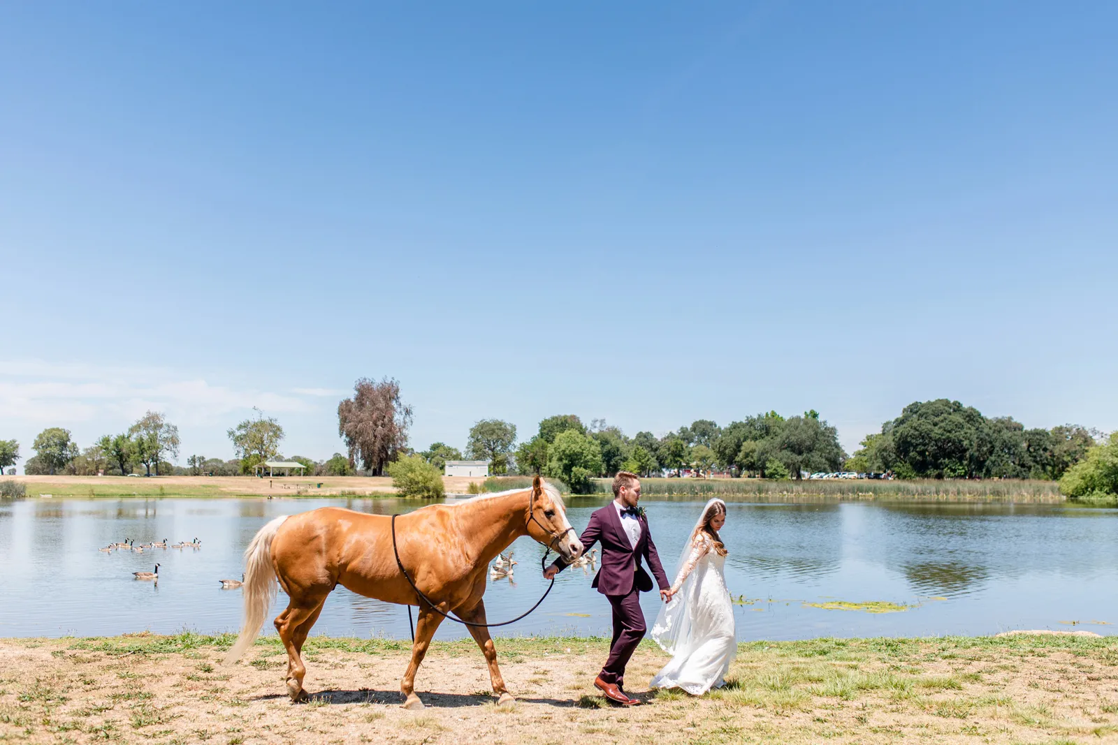 Groom pulling a horse by the reigns and holding his wife's hand.