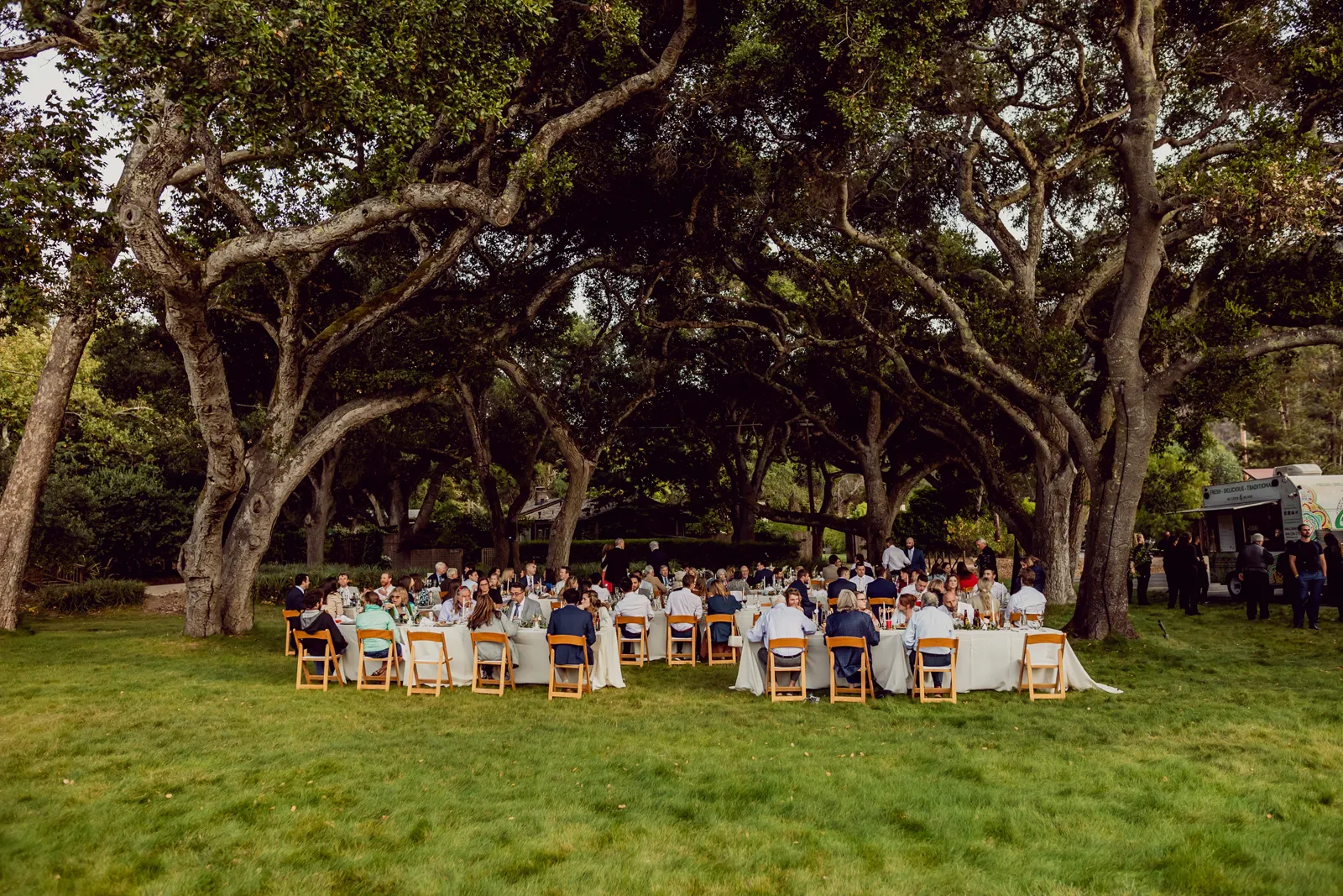 Wedding venue with tables and chairs underneath a canopy of trees.