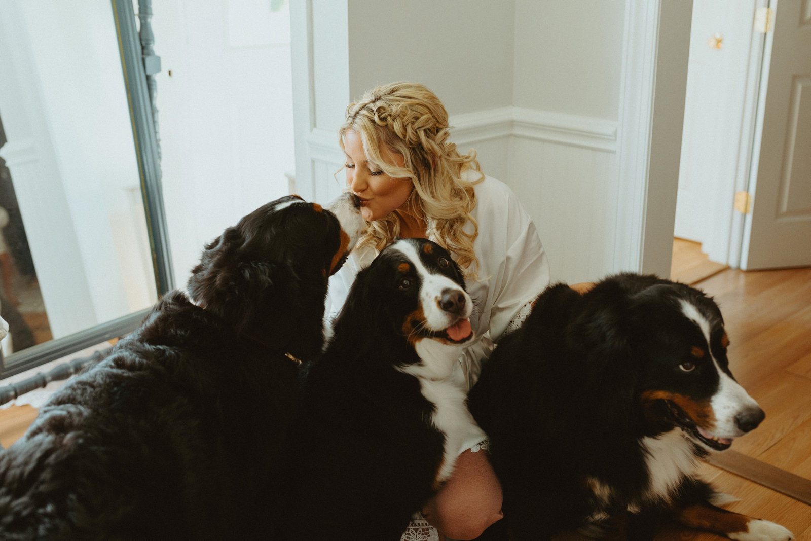 Bride to be kissing her three Bernese Mountain Dogs.