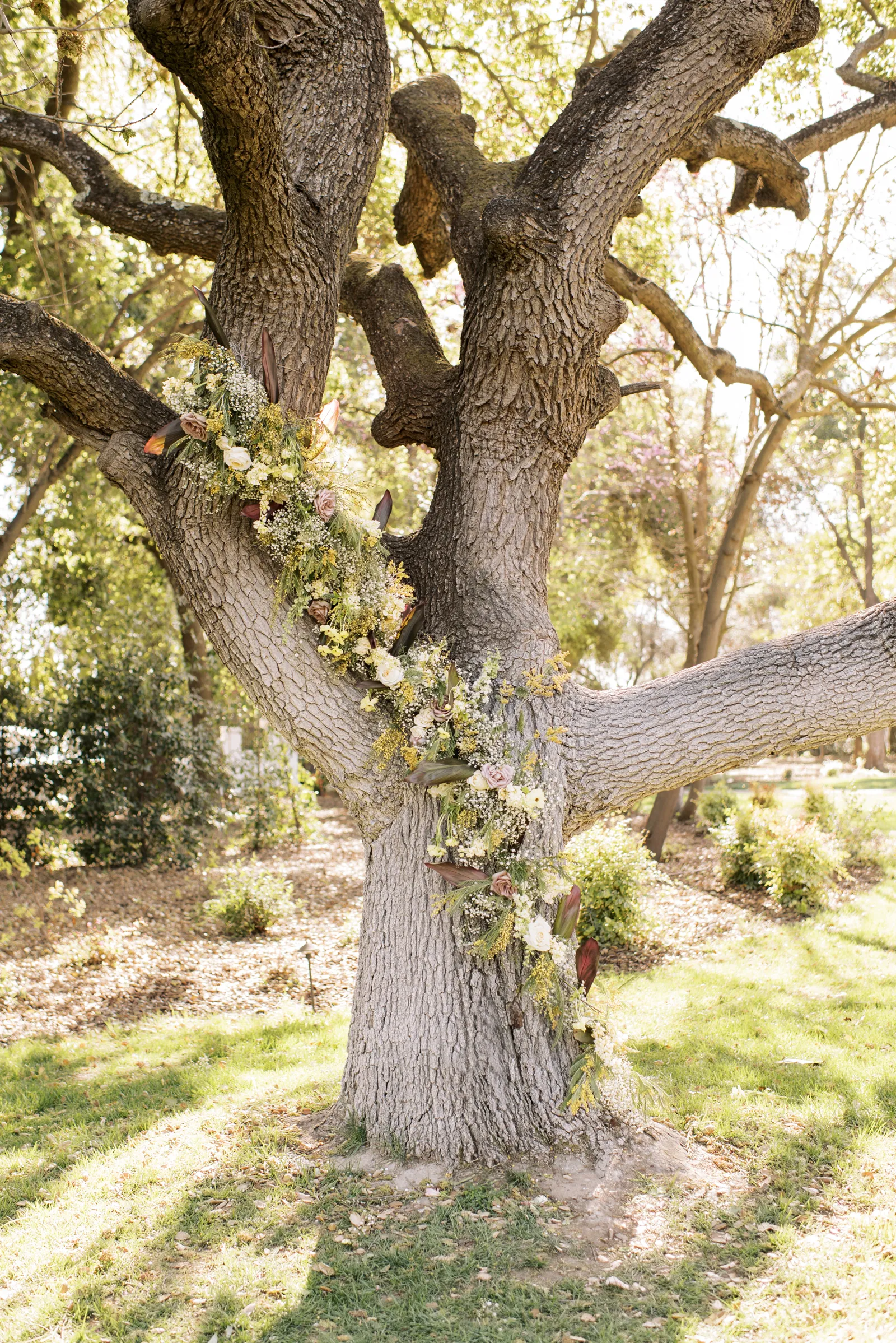 Elegant tree with flowers wrapped around it.