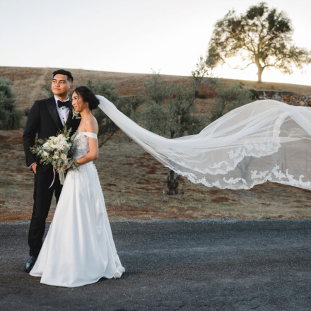 Newlyweds taking dreamy photos at the Black Oak Mountain Vineyard.