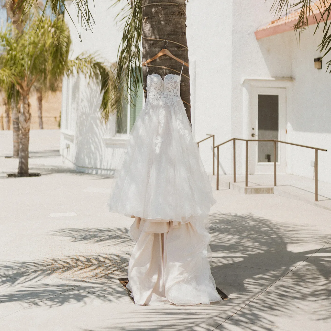 Always Elegant Bridal & Tuxedo gown hanging on a palm tree.