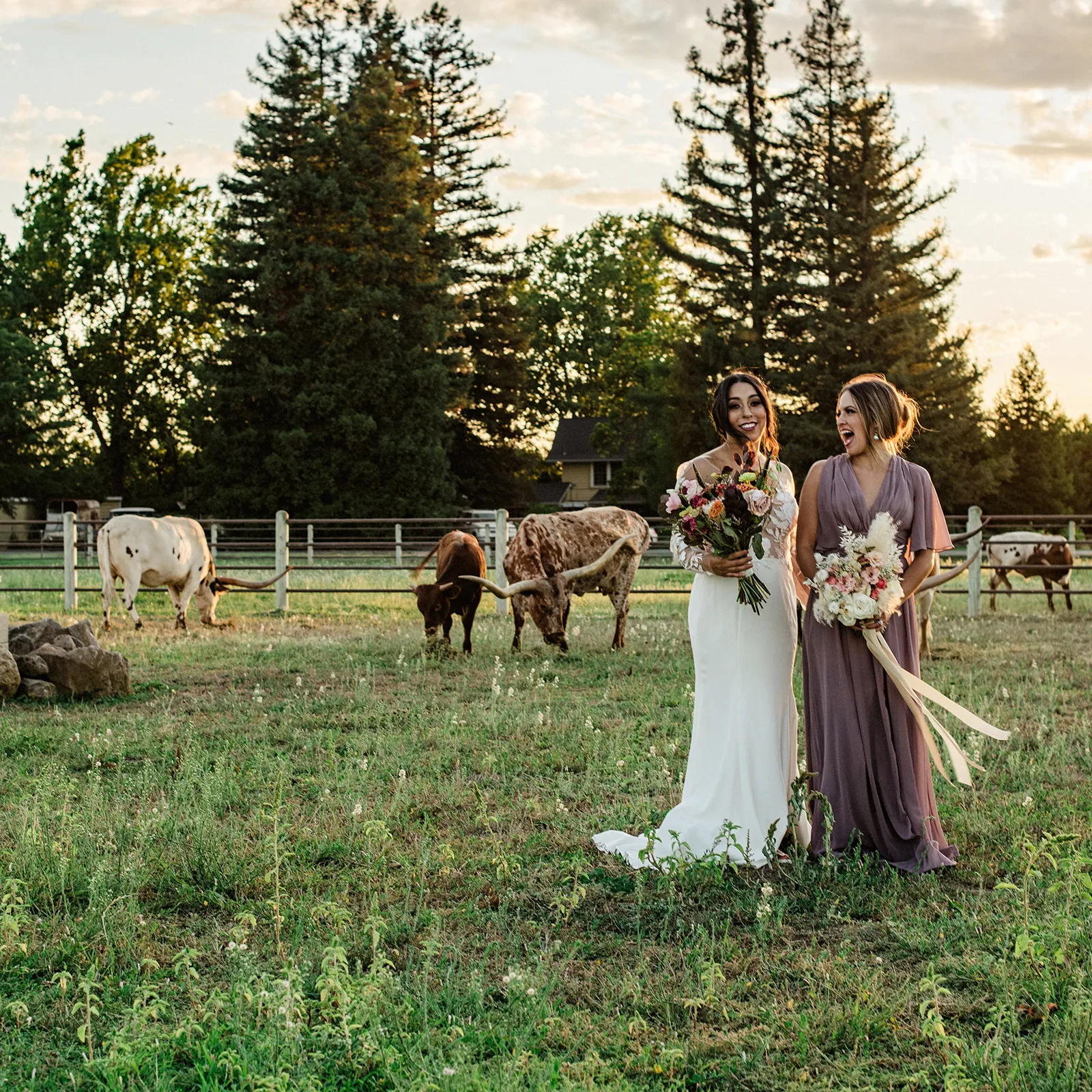 Rosé & Roses at The Ranch at Lone Oak Longhorns - February 2024