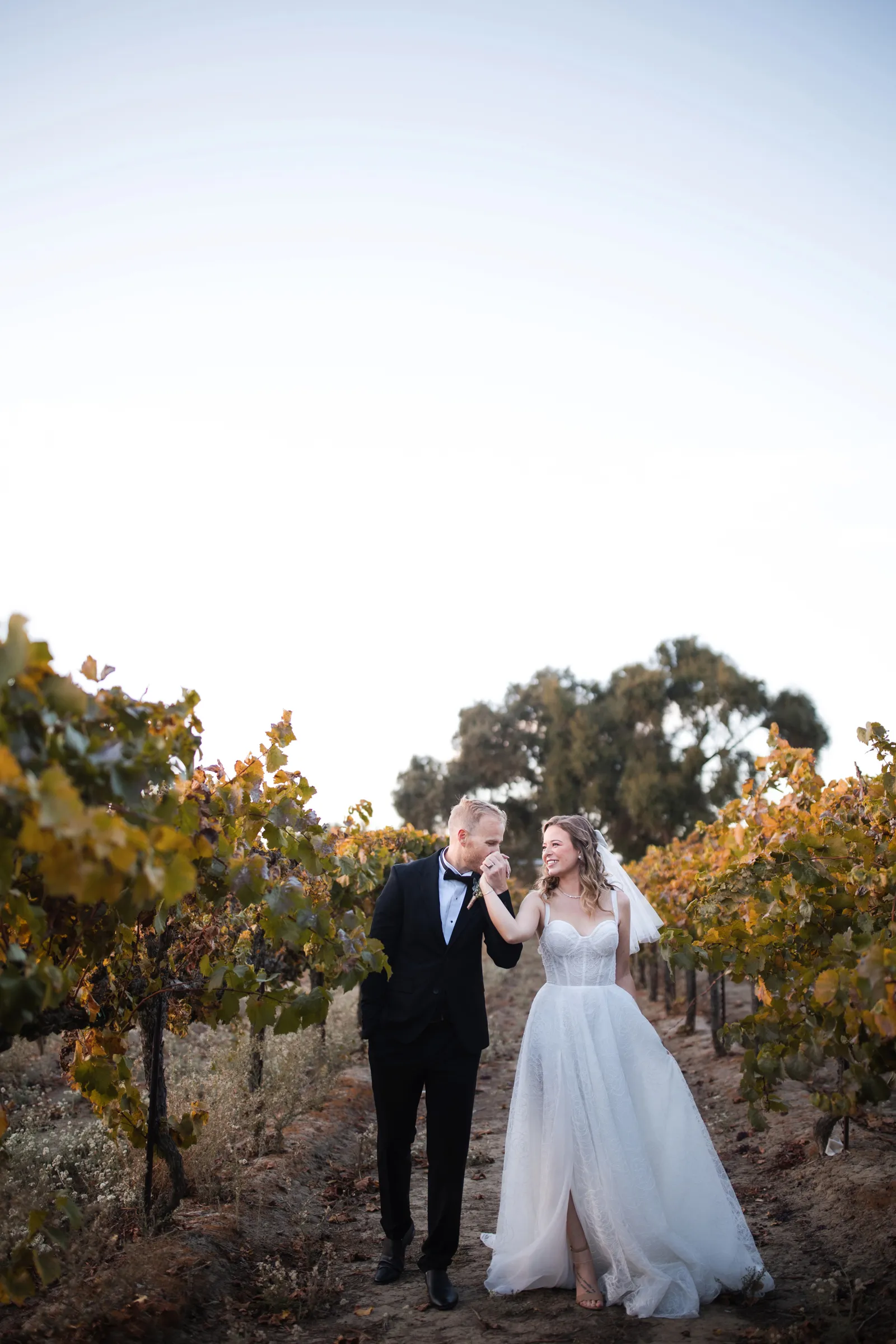 Bride and groom walking through the vineyard at a submitted styled shoot at Scribner Bend Vineyards wedding venue.