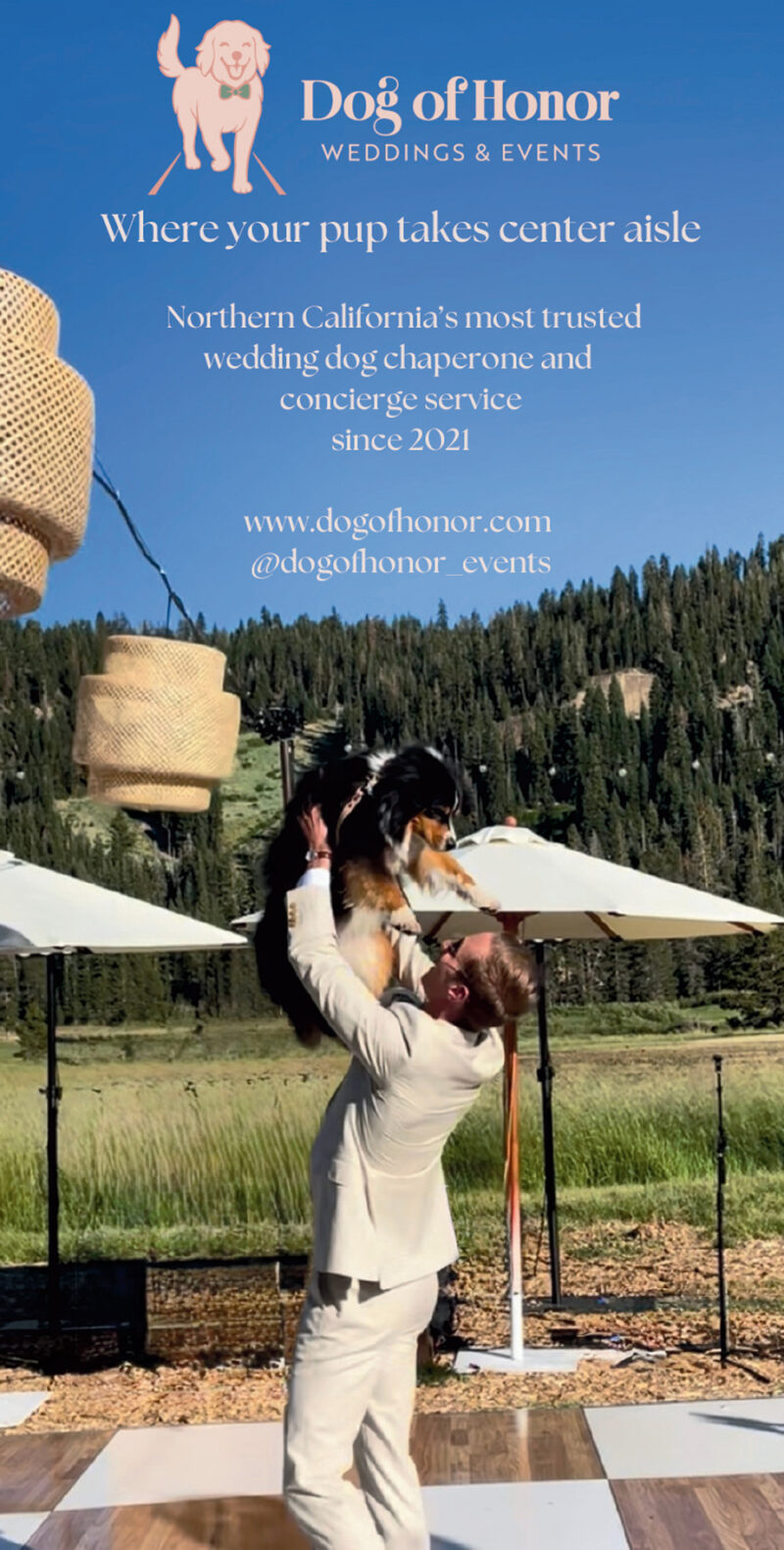 Best Dog Wedding Chaperone Sacramento