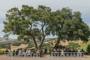 Beautiful and unique winery wedding venue.