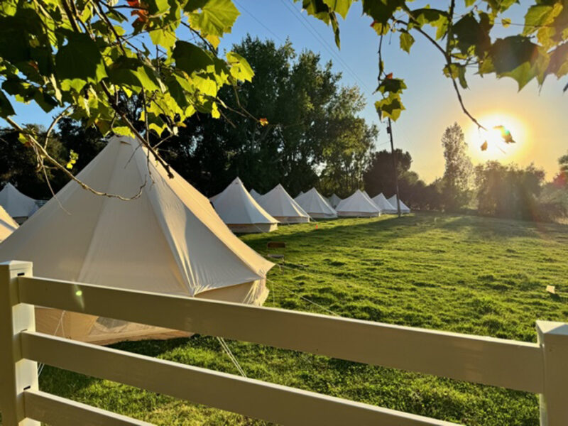 Glamping Tents in Sacramento
