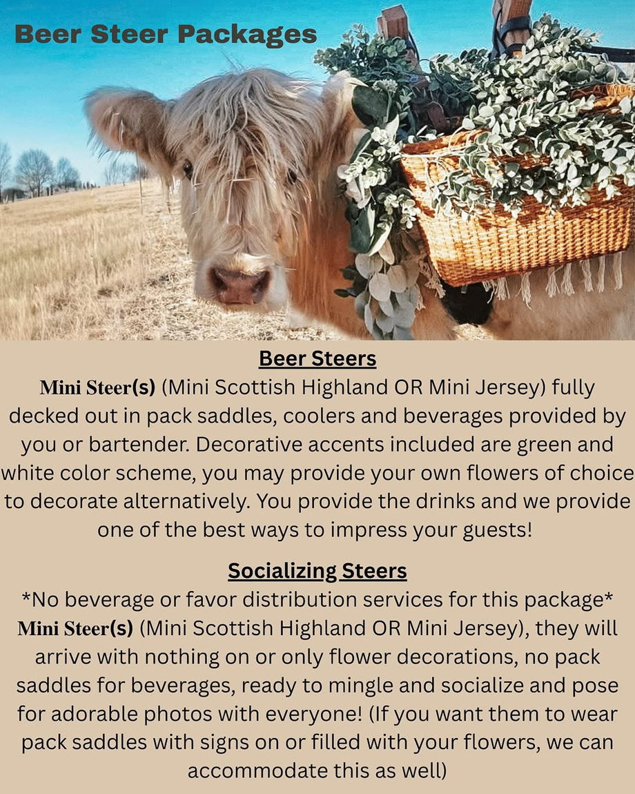 Beer Highland Cows